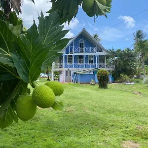  Mini-hôtel Islander House On Rocky Cay